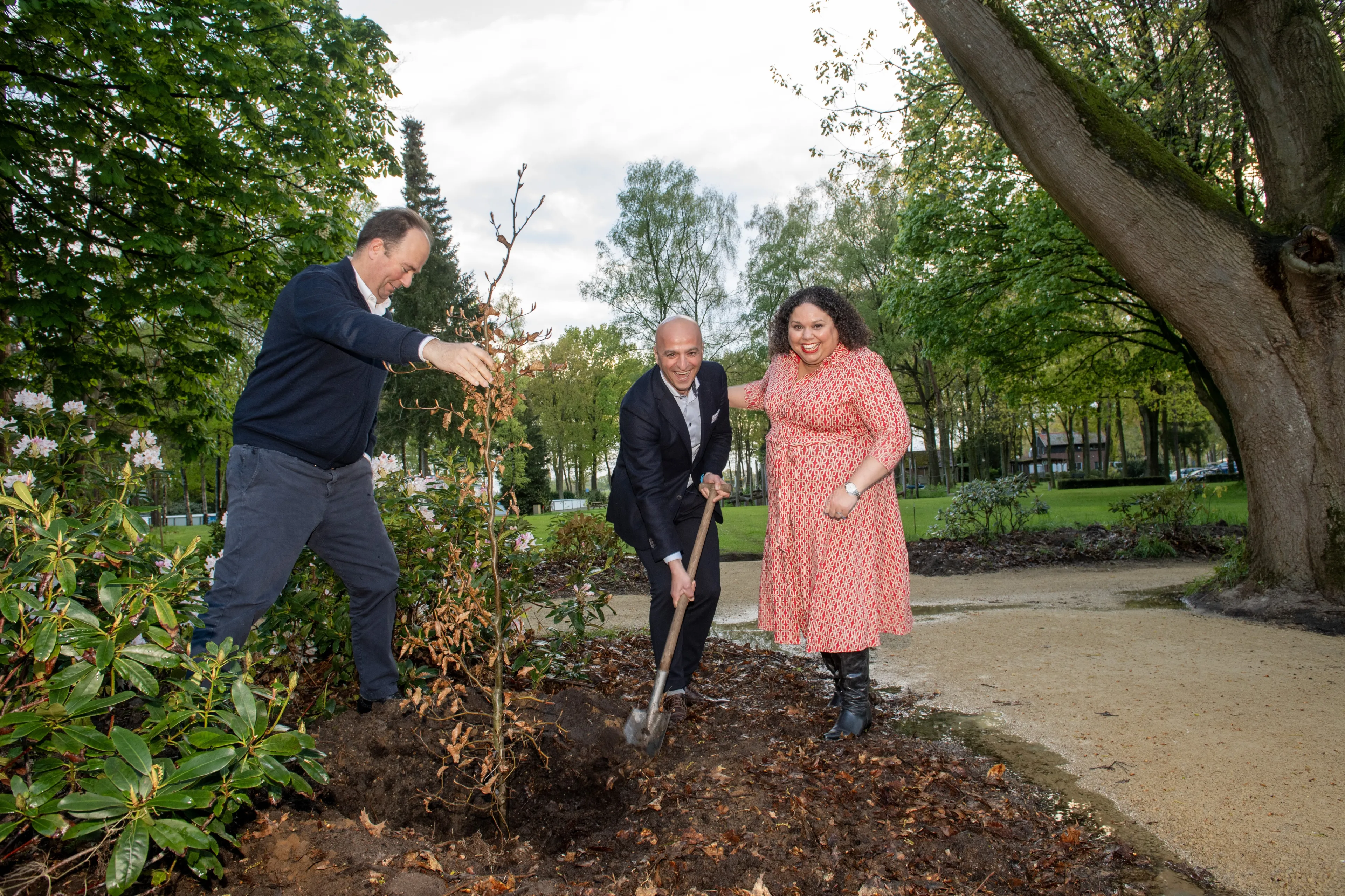 Hypotheekbos boom planten